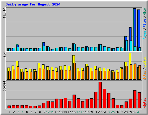 Daily usage for August 2024