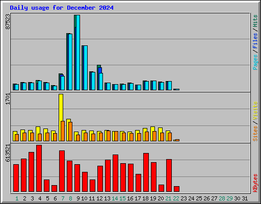 Daily usage for December 2024