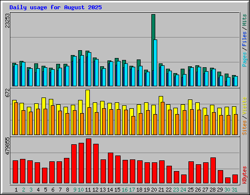 Daily usage for August 2025
