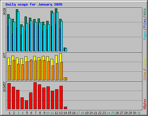 Daily usage for January 2026