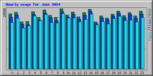 Hourly usage for June 2024