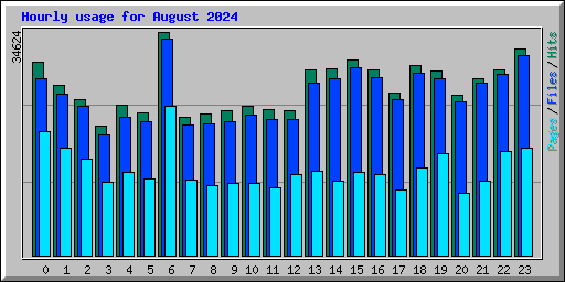 Hourly usage for August 2024