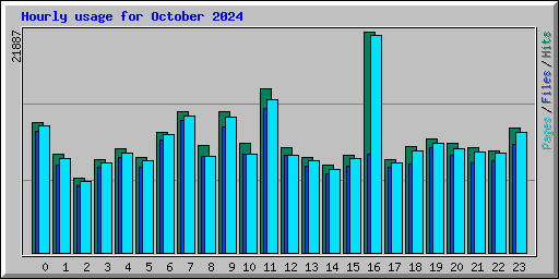 Hourly usage for October 2024