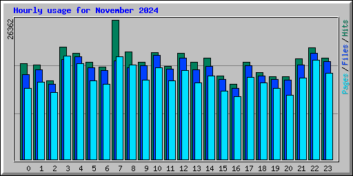 Hourly usage for November 2024