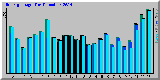 Hourly usage for December 2024