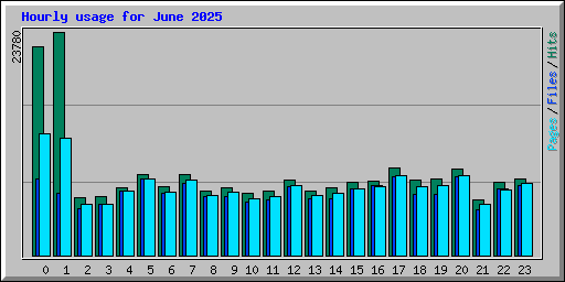 Hourly usage for June 2025