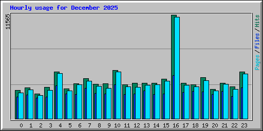 Hourly usage for December 2025