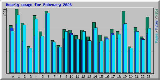 Hourly usage for February 2026